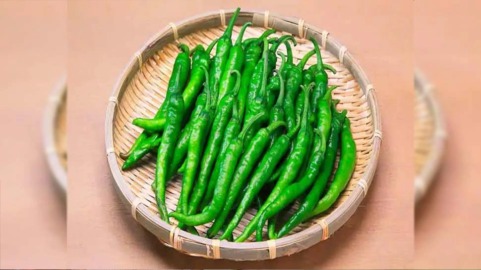 Green Chilli Benefits: कैंसर से बचाव के लिए खाने में करे तीखी हरी मिर्च का इस्तेमाल, जानिए इसके गजब के फायदे