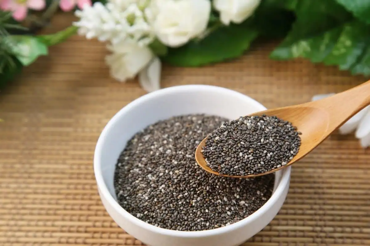 Chia Seeds : वेट लॉस के साथ साथ चिया सीड्स का पानी  ब्लड शुगर को भी करता है कंट्रोल, जानें इसके अनगिनत फायदे